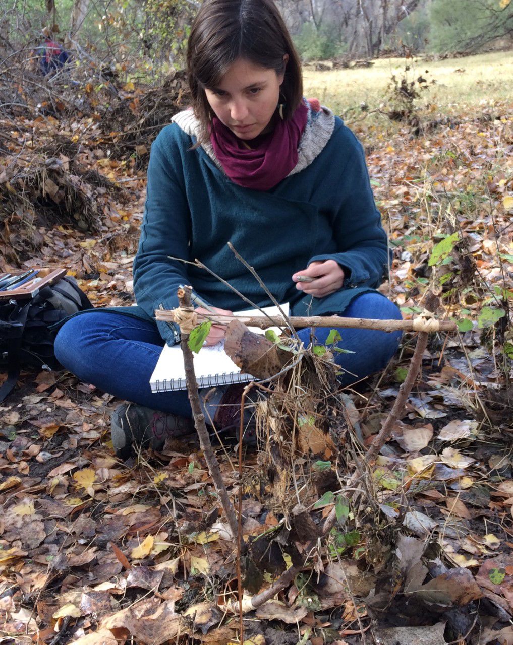 EcoArt Expeditions